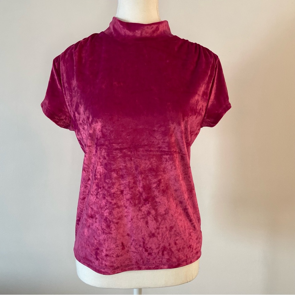 NEW Soft Velour Short Sleeve Top Shirt a new day Women’s Large